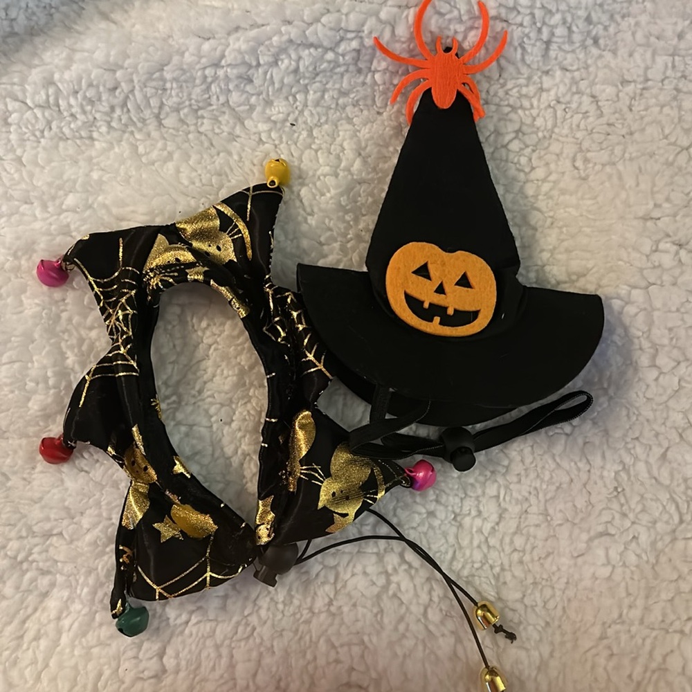 Halloween cat collar and hat , adjustable, bells